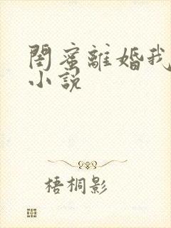 闺蜜离婚我也离小说