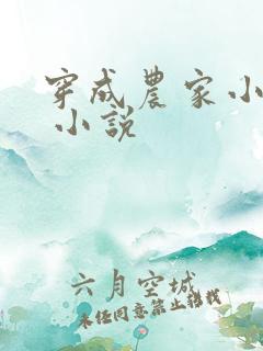 穿成农家小福宝 小说