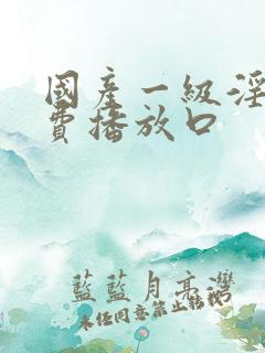 国产一级淫片免费播放口