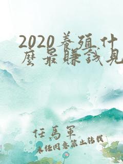 2020养殖什么最赚钱见效最快