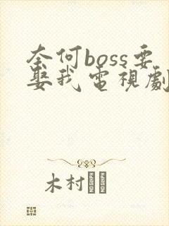奈何boss要娶我电视剧免费观看