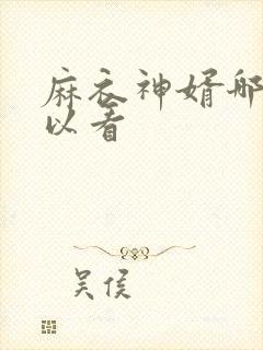 麻衣神婿哪里可以看