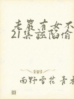 老严有女不愁嫁21集诬陷偷东西