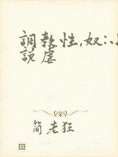 调教性,奴:小说虐