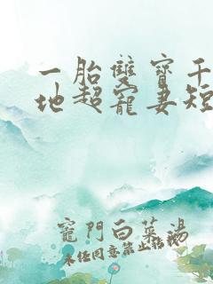 一胎双宝千亿爹地超宠妻短剧在线