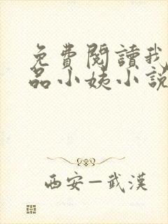 免费阅读我的极品小姨小说