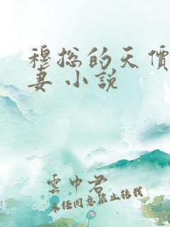 穆总的天价小娇妻 小说