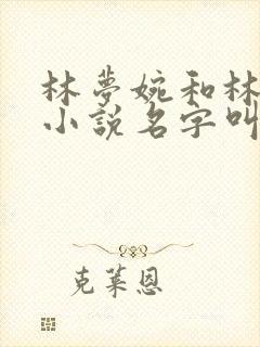 林梦婉和林煜的小说名字叫什么