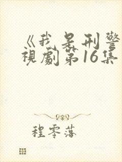 《我是刑警》电视剧第16集