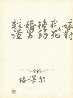 离婚后我嫁给了渣男的死对头