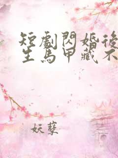 短剧闪婚后傅先生马甲藏不住了免费观看