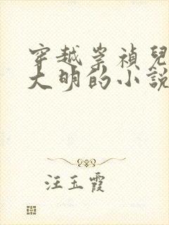 穿越崇祯儿子救大明的小说