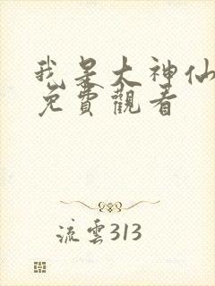 我是大神仙全集免费观看