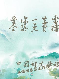 爱你一生电视剧全集免费播放高清