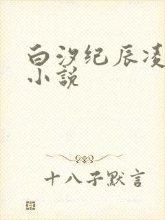 白汐纪辰凌白汐小说