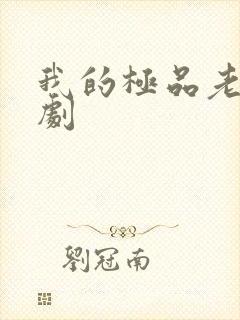 我的极品老婆短剧