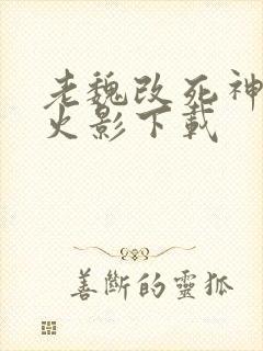 老魏改死神vs火影下载