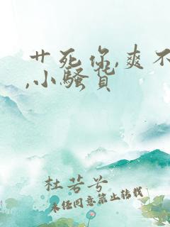 艹死你,爽不爽,小骚货