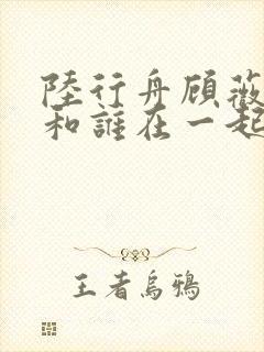 陆行舟顾薇最后和谁在一起了