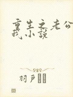 重生之老公等等我小说