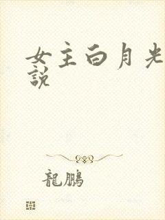 女主白月光的小说