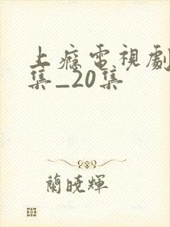 上瘾电视剧16集_20集