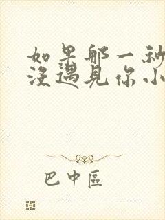 如果那一秒,我没遇见你小说