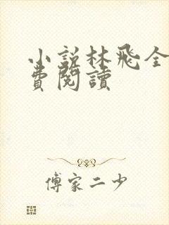 小说林飞全文免费阅读