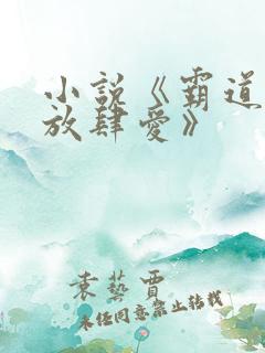 小说《霸道总裁放肆爱》