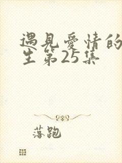 遇见爱情的利先生第25集