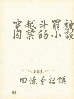 穿越斗罗被病娇囚禁的小说