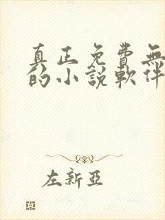 真正免费无广告的小说软件有哪些