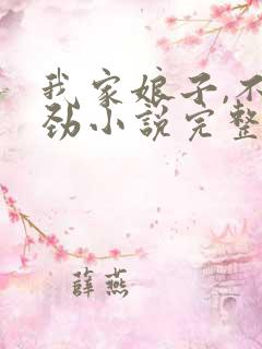 我家娘子,不对劲小说完整免费