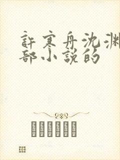 许寒舟沈渊是哪部小说的