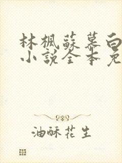 林枫苏慕白穿越小说全本免费阅读万界独尊