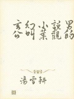 玄幻小说男主人公叫叶观的小说