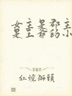 女主是郡主男主是王爷的小说