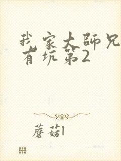 我家大师兄脑子有坑第2