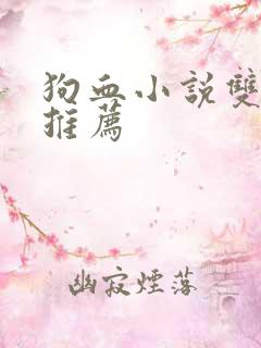 狗血小说双男主推荐