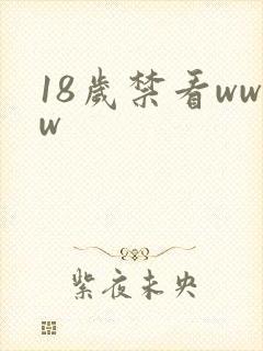 18岁禁看www
