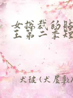 女总裁的贴身战王第二季短剧免费观看