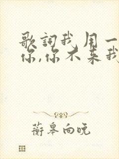 歌词我用一生等你,你不来我不老