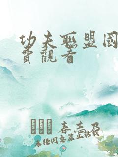 功夫联盟国语免费观看