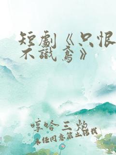 短剧《只恨深情不识鸢》