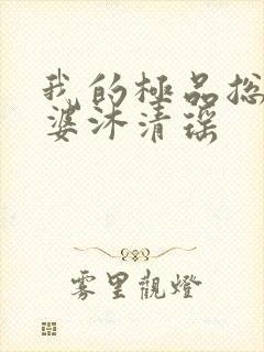 我的极品总裁老婆沐清瑶