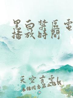 黑白禁区电视剧播放时间