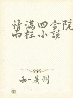 情满四合院之何雨柱小说