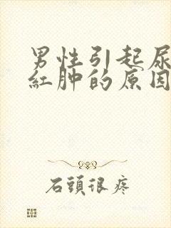 男性引起尿道口红肿的原因