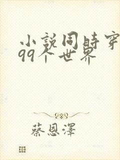 小说同时穿越了99个世界