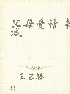 父母爱情 未删减